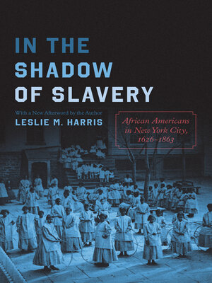cover image of In the Shadow of Slavery